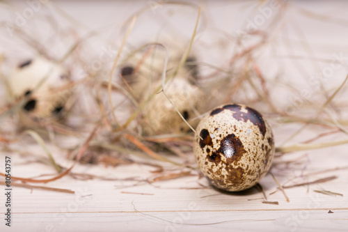 Easter eggs in a nest from a dry grass