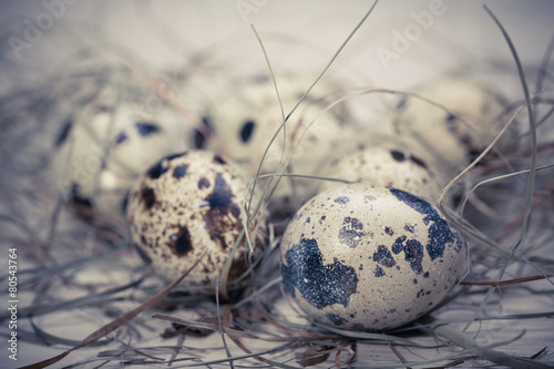 Easter eggs in a nest from a dry grass