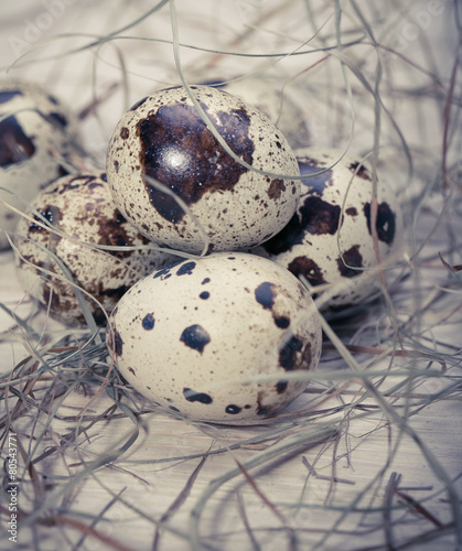 Easter eggs in a nest from a dry grass
