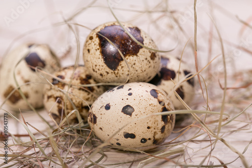 Easter eggs in a nest from a dry grass