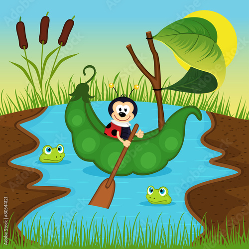 ladybug  floats on peas on river - vector illustration, eps