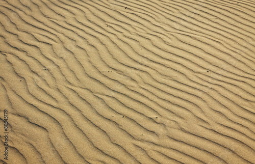 Small sand dunes on the beach