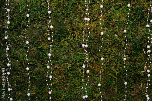 White beads on a background of moss