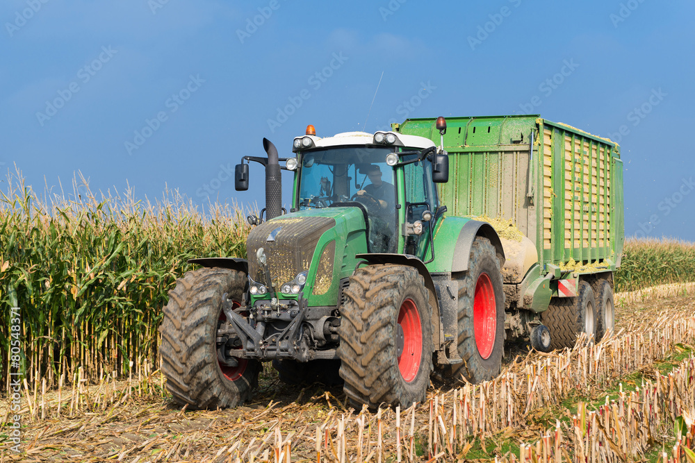 XXX - Traktor mit Ladewagen auf dem Maisfeld - 6426 XXX - Traktor mit Ladewagen auf dem Maisfeld - 6426
