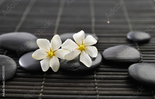 Two gardenia flowers and black stones on mat