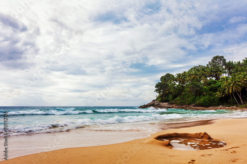 tropical beach under gloomy sky