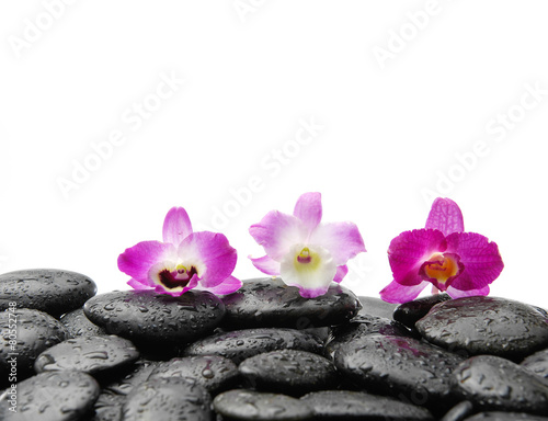 Still life with three orchid on wet zen stones