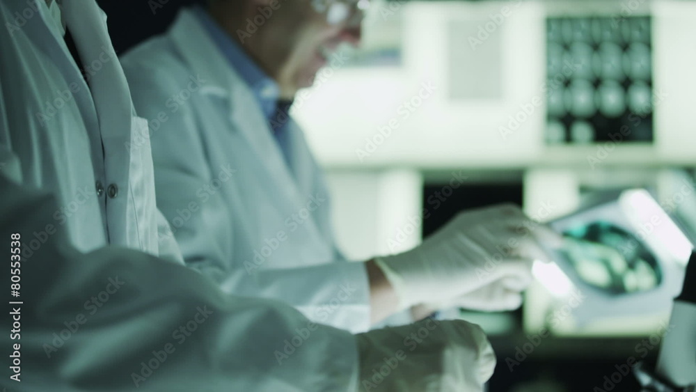 Experienced doctor working in the lab with young medical research students Experienced doctor working in the lab with young medical research students