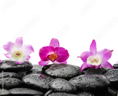Still life with three orchid on wet black stones