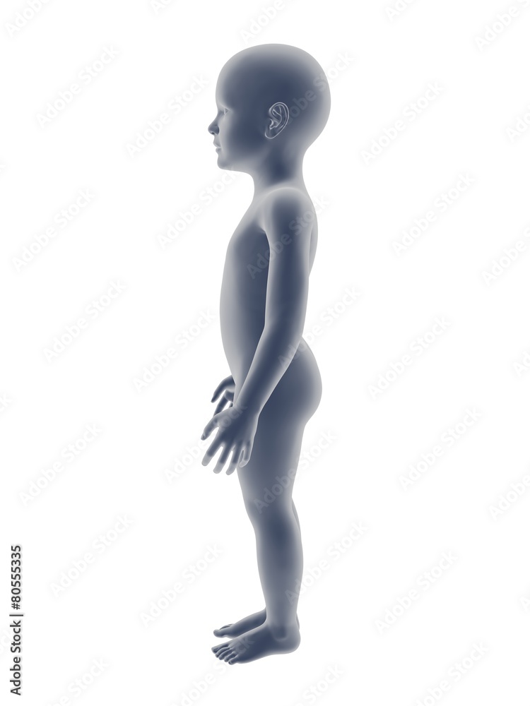 baby body baby body
