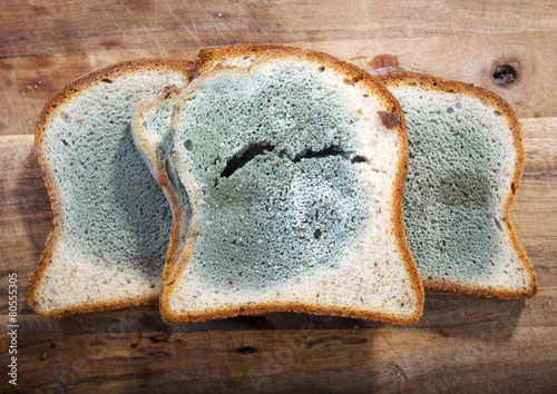 Obraz na plátně Moldy Bread