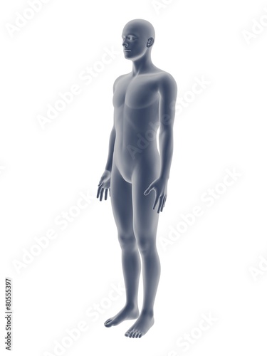 3D male