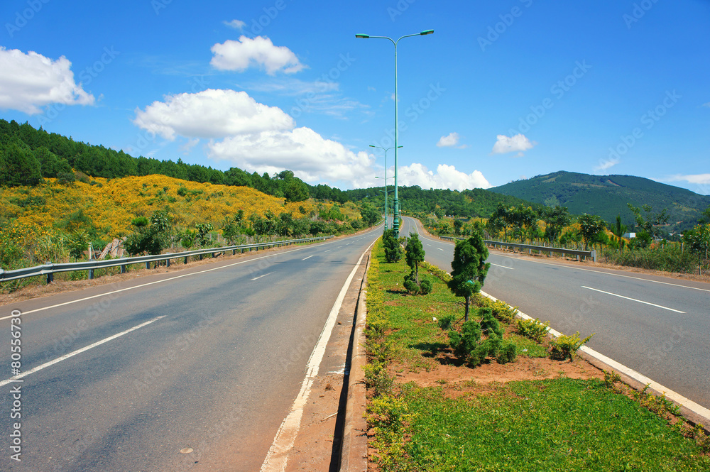 Dalat highway, pine forest