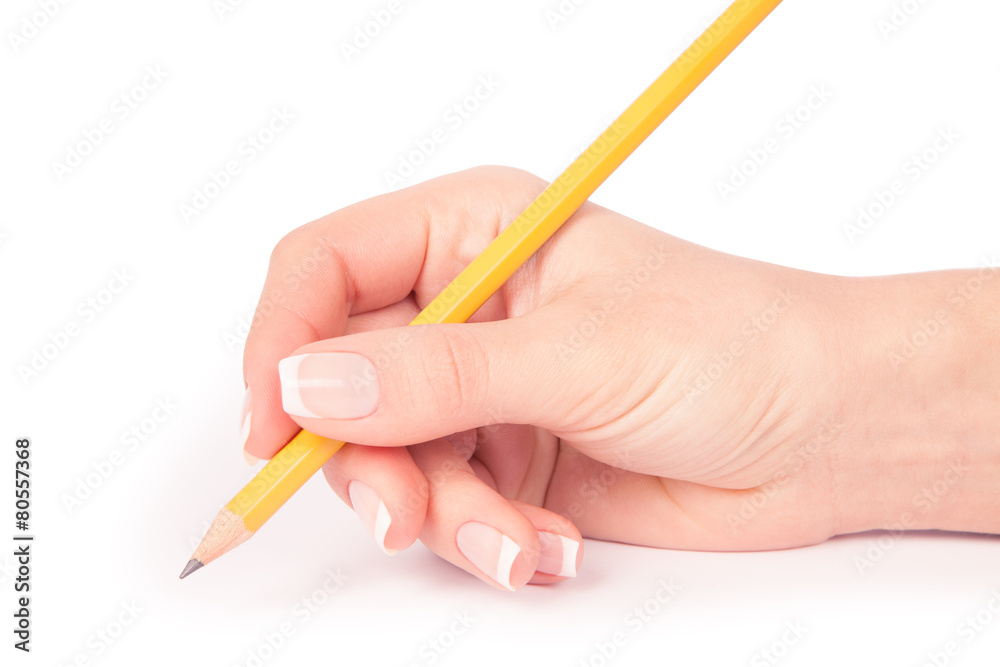a pencil in a hand is isolated on a white background a pencil in a hand is isolated on a white background