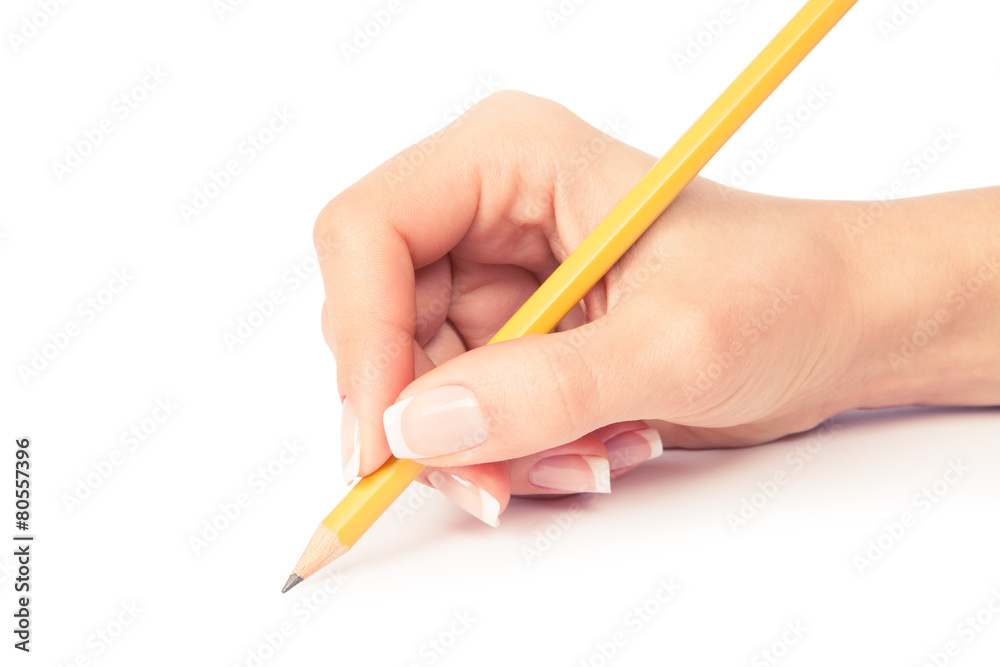 a pencil in a hand is isolated on a white background a pencil in a hand is isolated on a white background