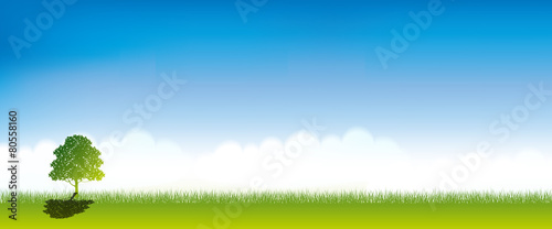 green and blue sky background