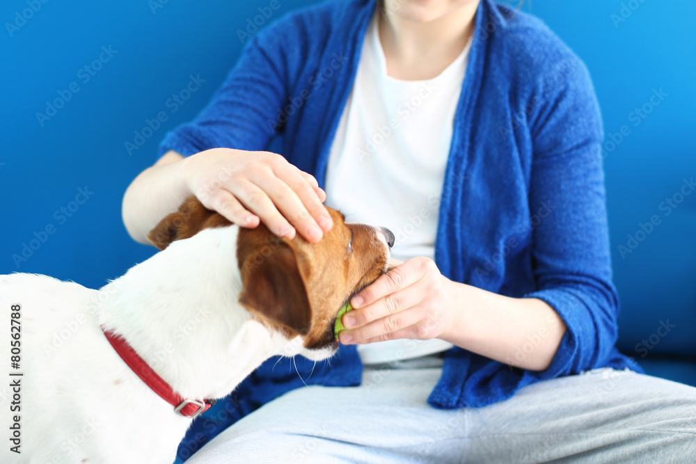 Fototapeta premium Piesku oddaj piłeczkę...