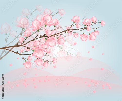 Light pink magnolia blossom on sky