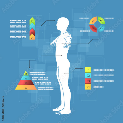 Infographics Human Body Anatomy