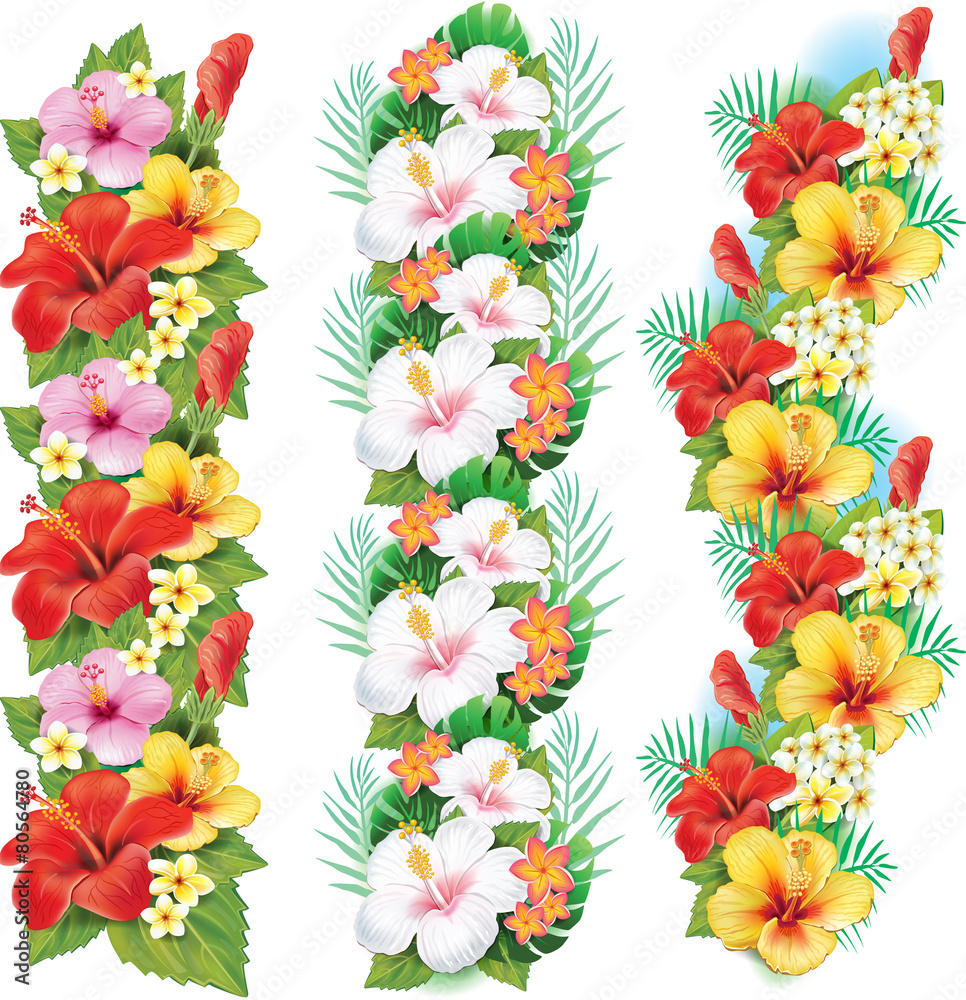 Garland of hibiscus flowers Stock Vector | Adobe Stock