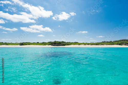 Remote tropical paradise white sand beach full of healthy coral in clear blue turquoise lagoon, Okinawa © samspicerphoto