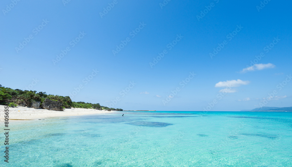 Fototapeta premium Remote tropical paradise white sand beach full of healthy coral in clear blue turquoise lagoon, Okinawa