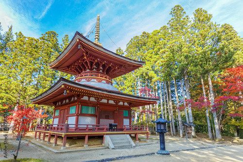 Pagoda of Kongozanmaiin at Danjo Garan temple in Mt. Koya photo