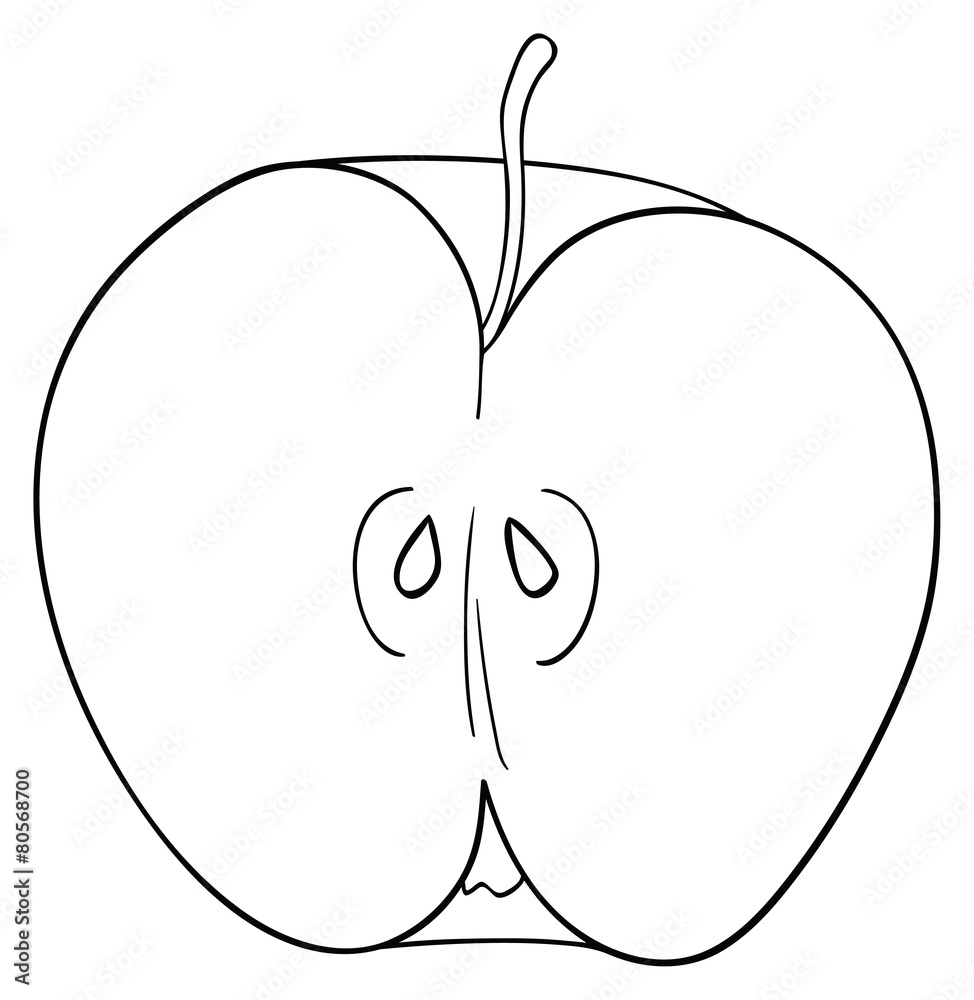Delightful garden - Half of sliced apple with a stem and seeds Delightful garden - Half of sliced apple with a stem and seeds