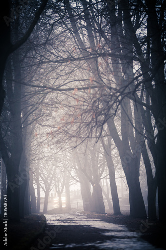 fog on a way © Ruslan Ivantsov