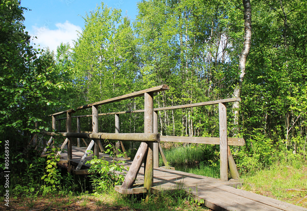 Bridge Bridge