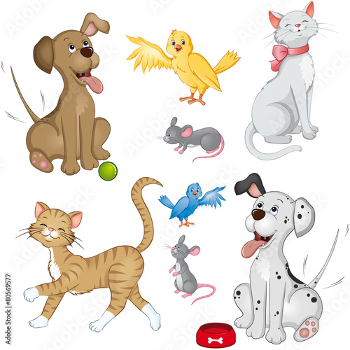Haustiere kleines Set