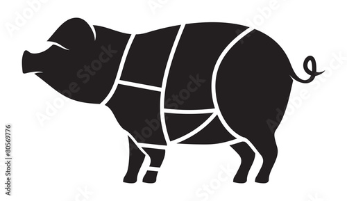 Pork meat cuts vector illustration