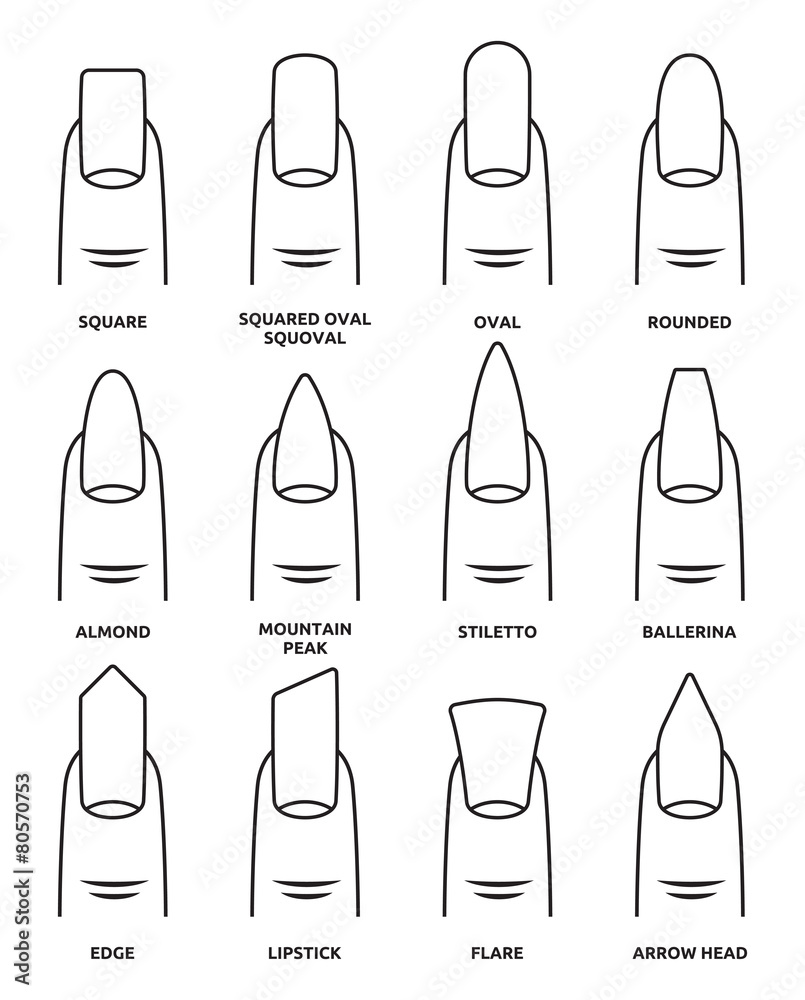 Different nail shapes Fingernails fashion Trends Stock Vector Adobe