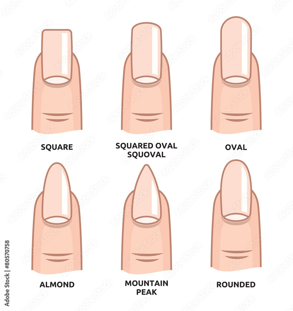 Different nail shapes - Fingernails fashion Trends Stock Vector | Adobe  Stock