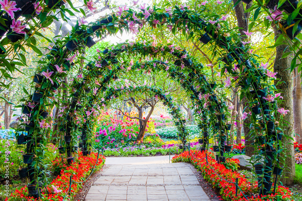 beautiful flower arches with walkway in ornamental plants garden Stock