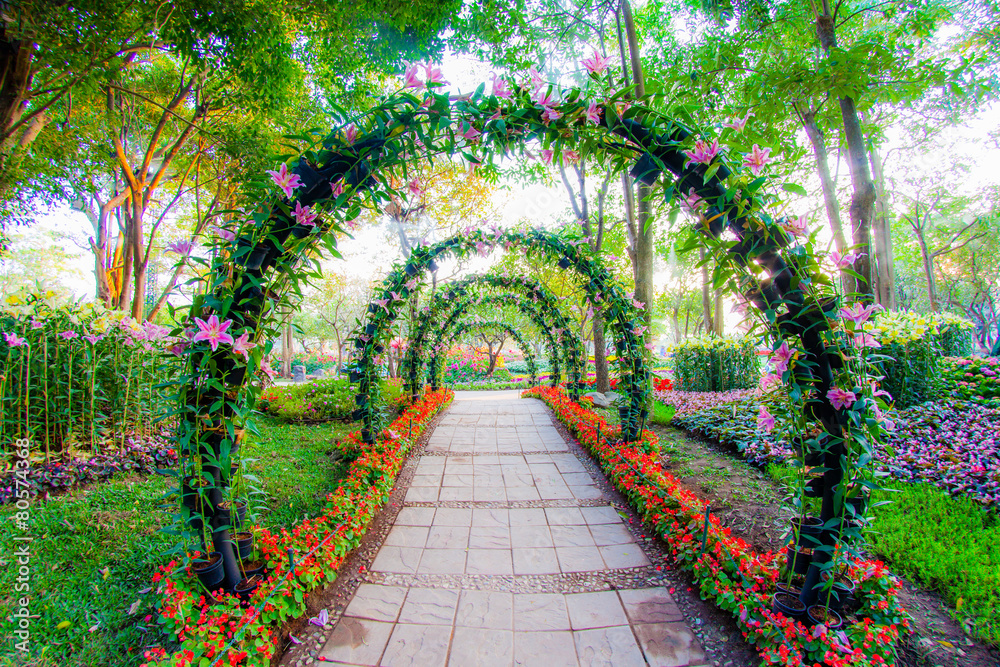 beautiful flower arches with walkway in ornamental plants garden Stock