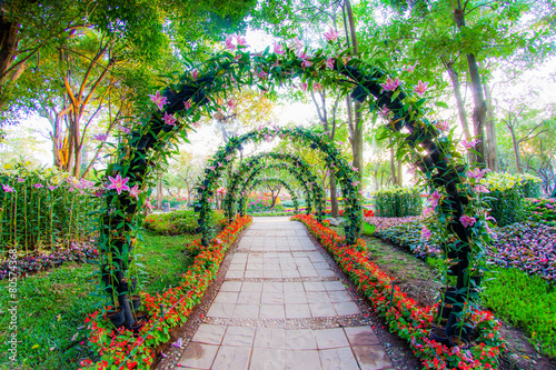 Fototapeta Naklejka Na Ścianę i Meble -  beautiful flower arches with walkway in ornamental plants garden