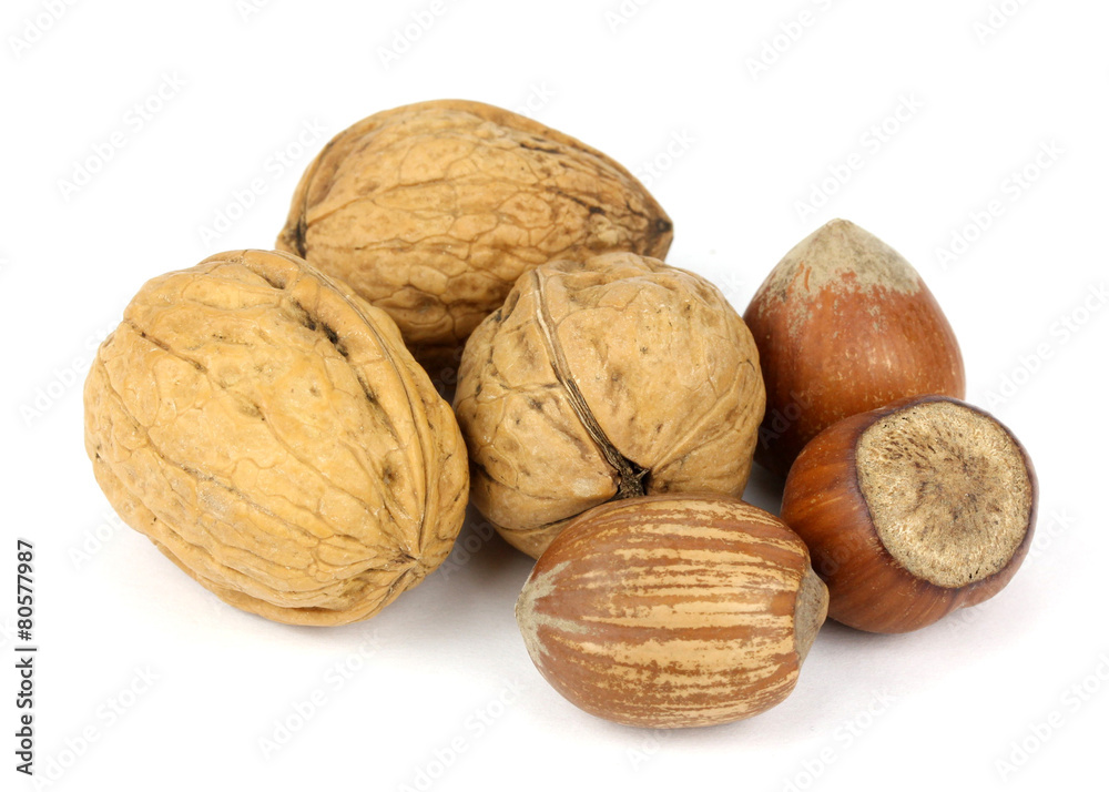 walnuts and hazelnuts on a white background! walnuts and hazelnuts on a white background!