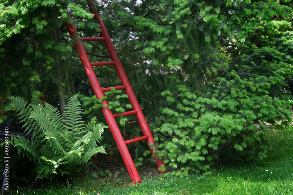 Rote Leiter in einem Garten