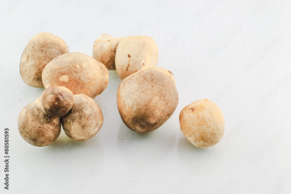 straw mushroom straw mushroom