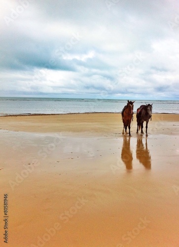 cavalgada na praia
