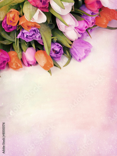 bouquet of tulips flowers on a drawing background vintage retro