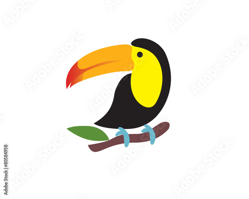 Toucan Bird