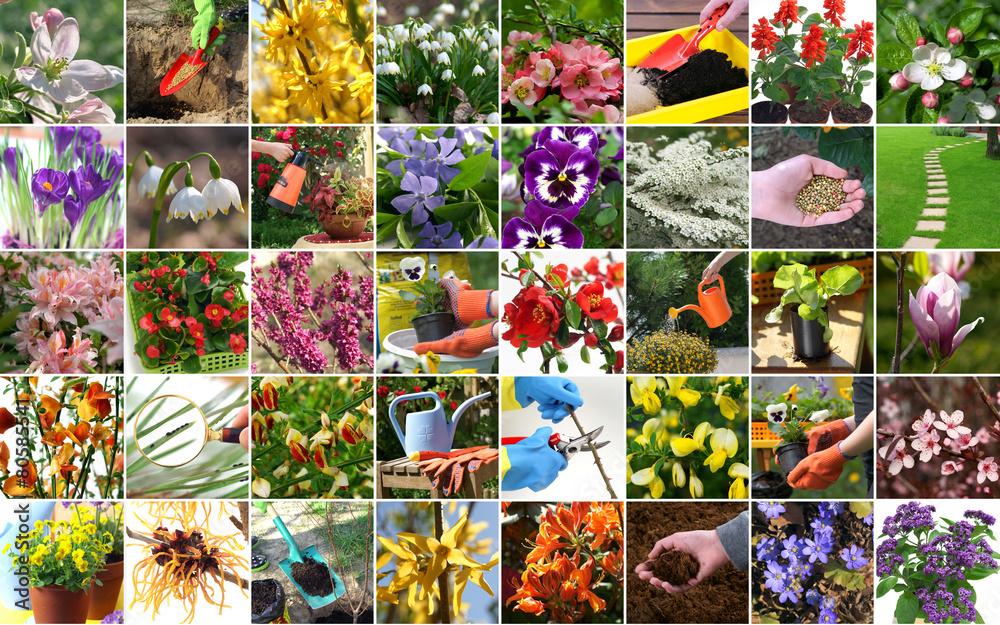 Fototapeta premium Spring in the garden - colorful collage