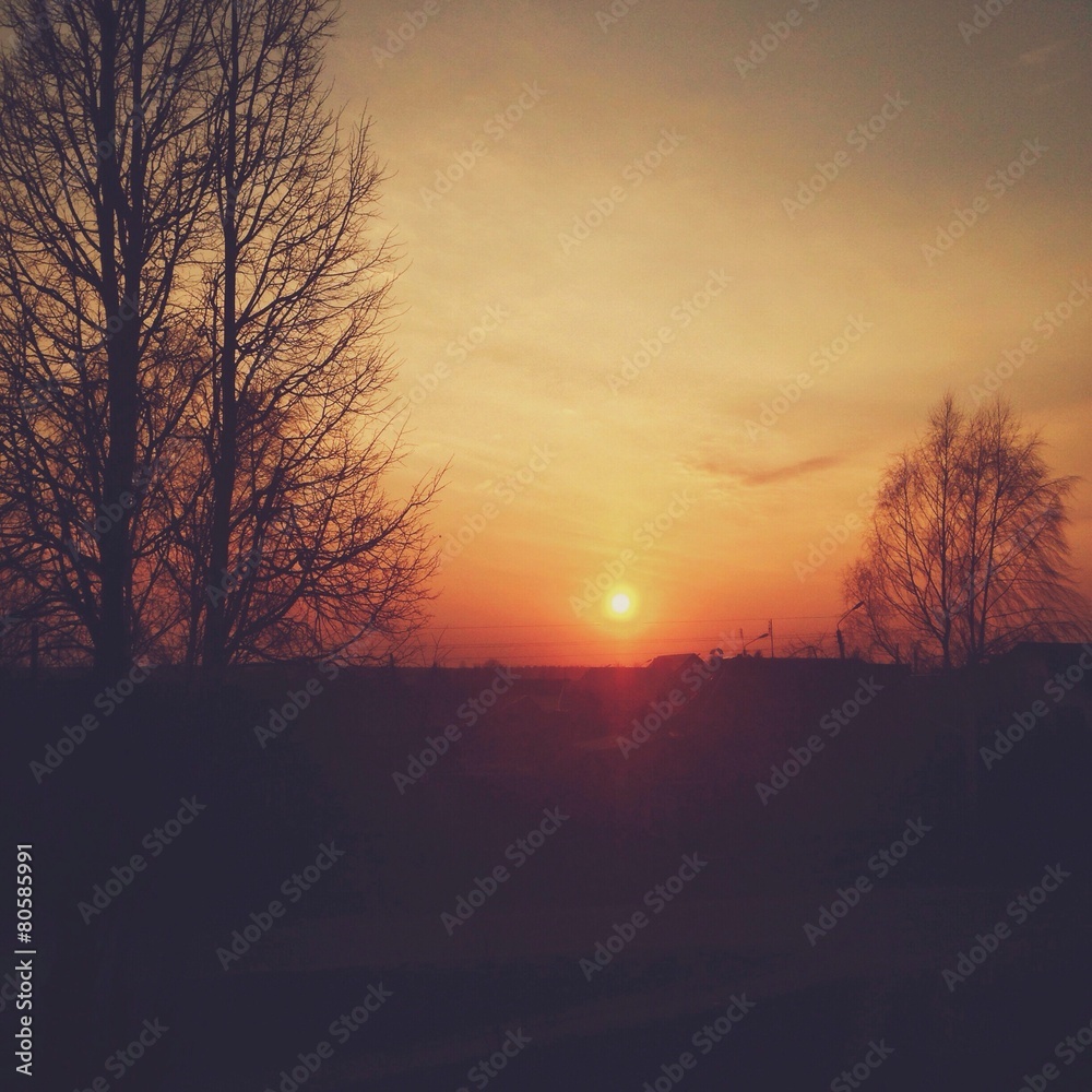 Fototapeta premium мартовский закат