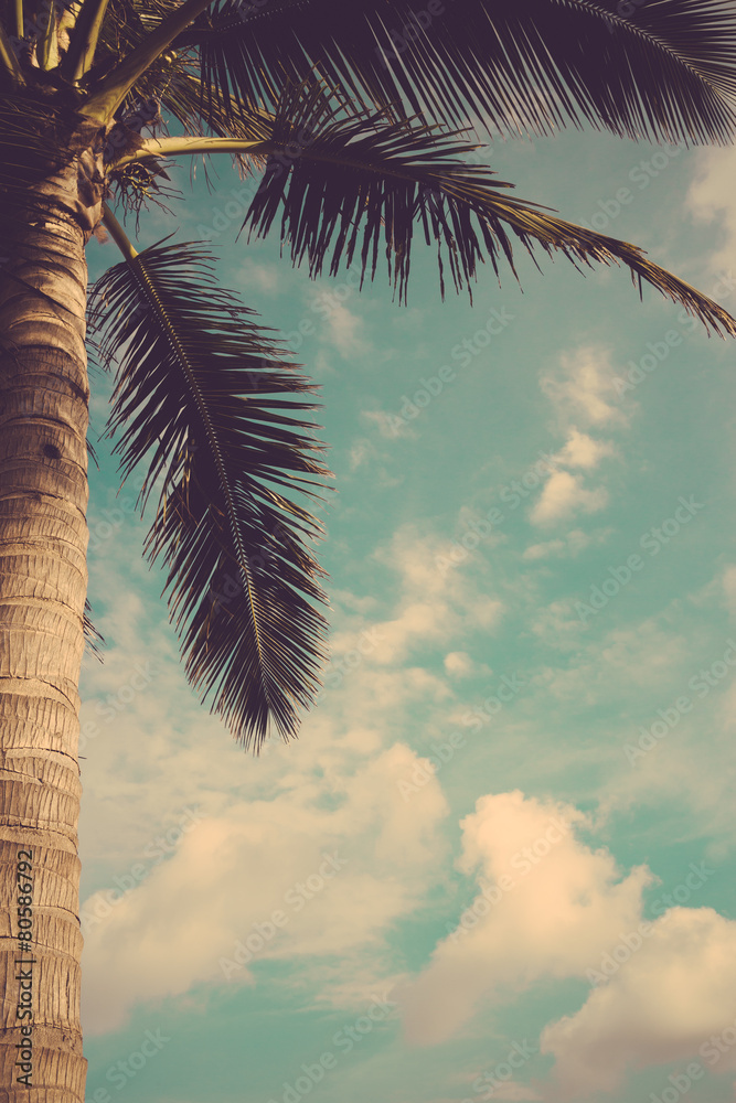 Naklejka premium coconut palm tree against blue sky vintage retro