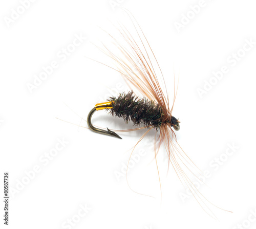 fly for fishing on white background