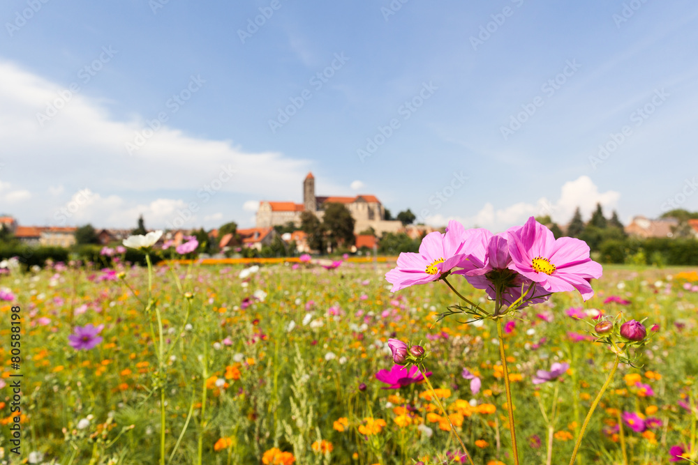 Blick zum Quedlinburger Schloss und Stiftskirche Blick zum Quedlinburger Schloss und Stiftskirche