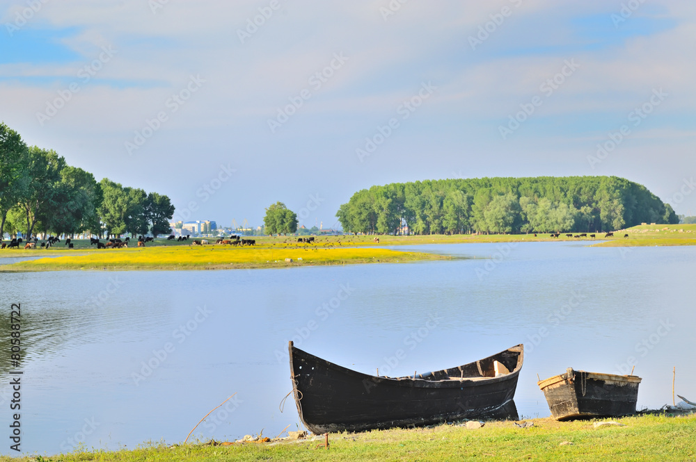 Naklejka premium boat on shore of danube river
