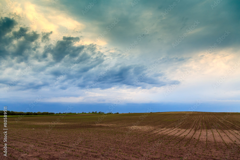 Arable land Arable land